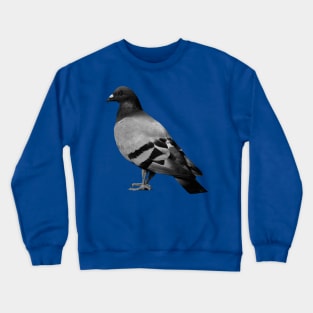 Pigeon 1 Crewneck Sweatshirt